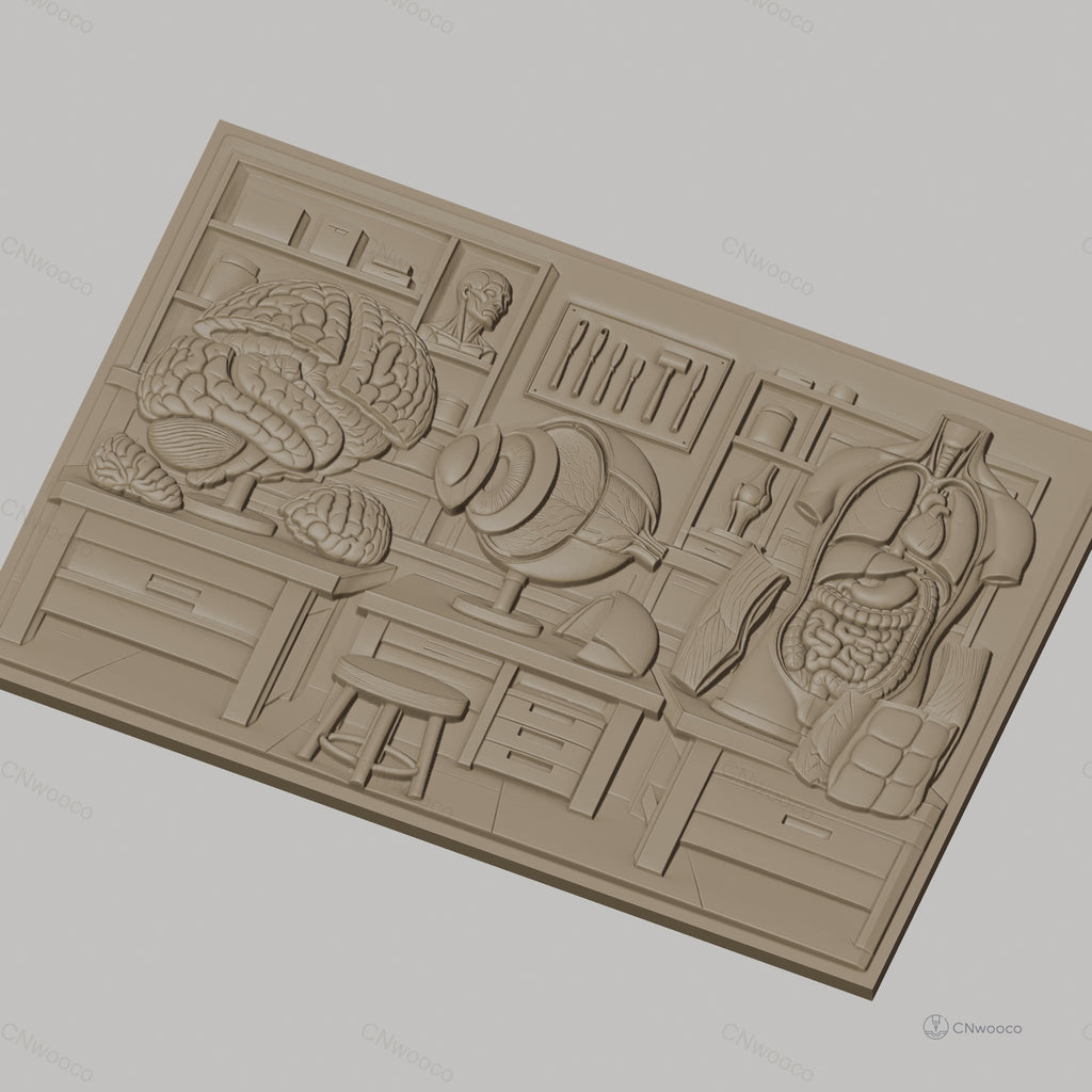Fichier CNC & impression 3D anatomie humaine, cerveau, œil, torse avec organes, outils de laboratoire, haute qualité relief STL