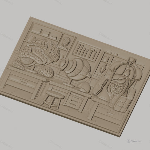 Fichier CNC & impression 3D anatomie humaine, cerveau, œil, torse avec organes, outils de laboratoire, haute qualité relief STL