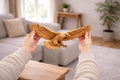 Fichier CNC & impression 3D aigle royal en vol – bas-relief d’aigle américain pour sculpture bois et décoration murale STL